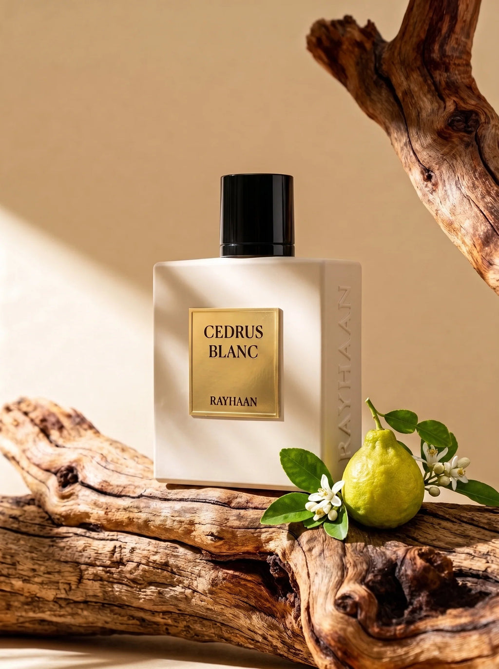 Cedrus Blanc Rayhaan 100 ml